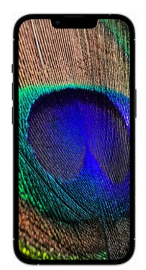 Iphone 13Pro